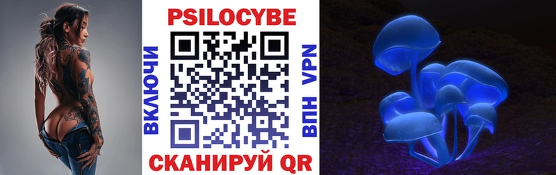 Псилоцибиновые грибы Psilocybe  Зверево 